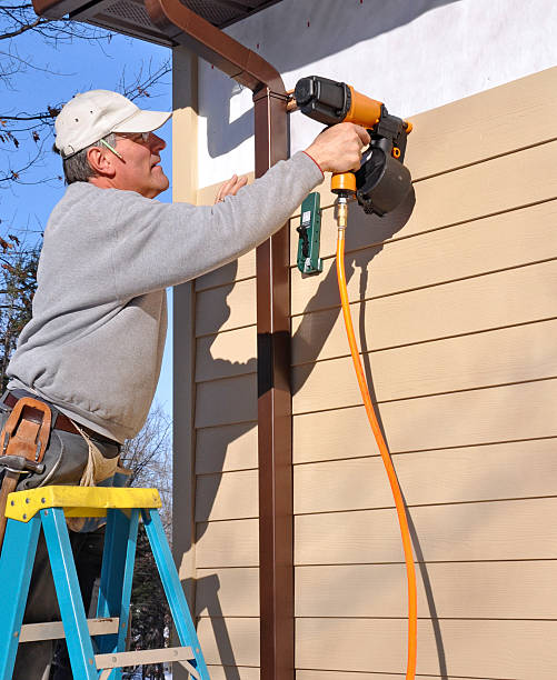 Affordable Siding Repair and Maintenance Services in Burr Ridge, IL